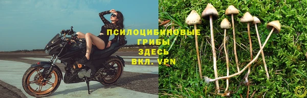 марки nbome Армянск