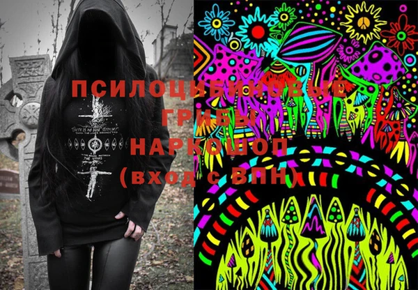 мет Арсеньев
