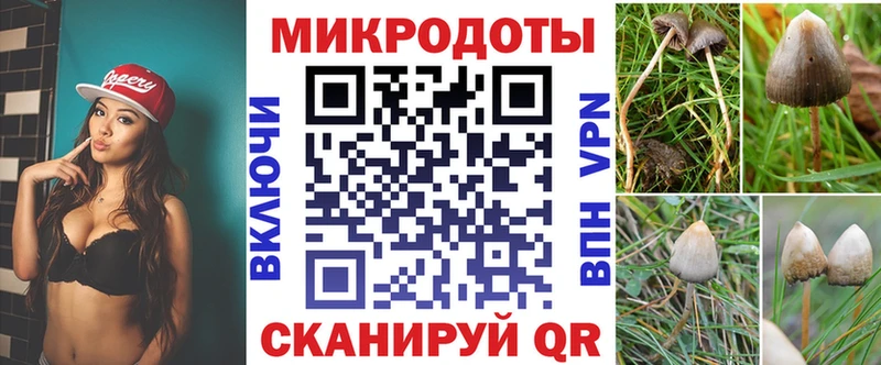 Галлюциногенные грибы мицелий Россошь